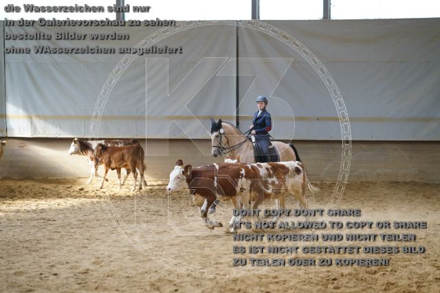 s_K3F02315.JPG